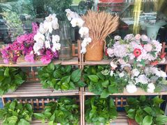 -亭亭鲜花店(中山北路店)