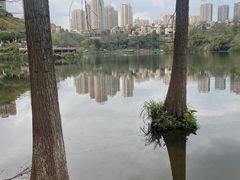-重庆彩云湖湿地公园