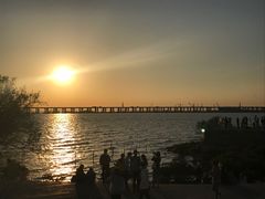 -宝安西湾红树林湿地公园