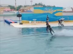 -秦皇岛乐岛海洋王国