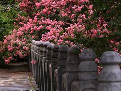 -报恩寺(平武县)