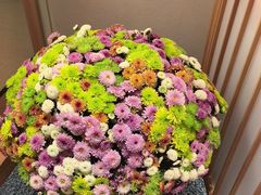 -月龍吟(朝龙汇店)