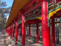 -乌素图国家森林公园