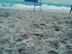 -西涌国际滨海旅游区