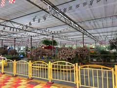 -南宫五洲植物乐园