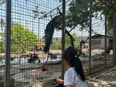 -河北村民俗体验园