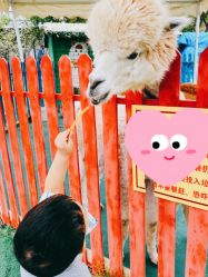 -萌宠亲子动物乐园(槐房万达店)