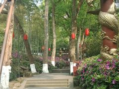 -杭州黄龙洞
