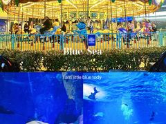 -上海海昌海洋公园
