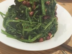 -老阿妈蒙古村·蒙古包·草原文化·歌舞表演(老君堂店)