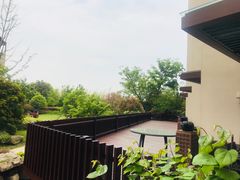 -上海崇明金茂凯悦酒店