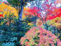 -常寂光寺