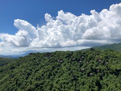 -三亚亚龙湾人间天堂鸟巢度假村