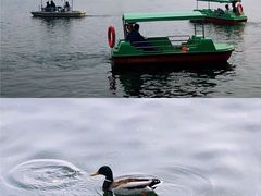 -北海公园
