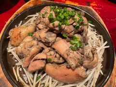 九州炭烤鸡腿肉-九州酒场ひこぞう(1号店)