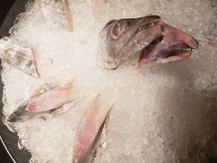 -荣记火锅(青悦城店)