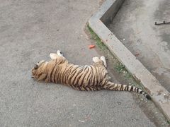 -大连森林动物园