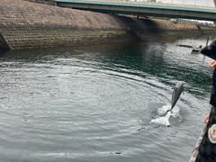 -鹿儿岛水族馆