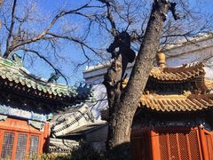 -贤良祠