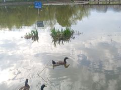 -月牙潭公园