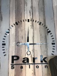 -Park Salon脏辫羽毛接发