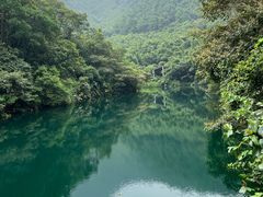 -紫云谷景区