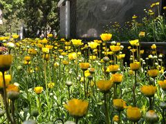 -长辛店二七公园