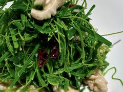辣木苗鲜桃仁-悦融琥珀·京鲁菜·海味珍品(西单店)