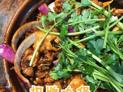 鸡煲-胡须佬鸡煲四季火锅(海雅缤纷城店)