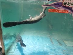 -漓江又一軒·广西菜·桂林米粉(梅林店)