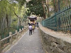 -灵岩山风景区