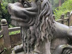 -青城山