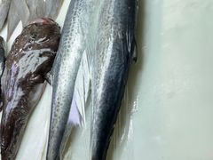 -王四营海鲜市场