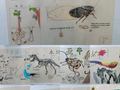 -陕西自然博物馆