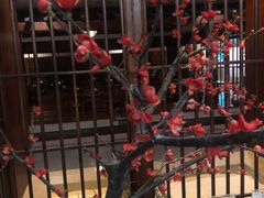 -杭州第一世界大酒店·云曼温泉