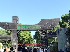 -溱湖国家湿地公园