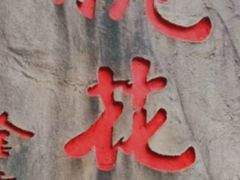 -桃花岛风景旅游区