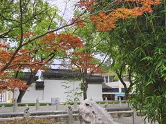 -安亭老街