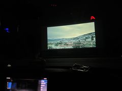 -枫花园汽车电影院(朝阳公园店)