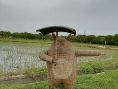 -嘉北郊野公园