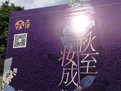 门面-大洋晶典(东街店)