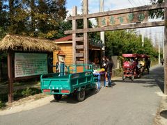 -上海长兴岛郊野公园