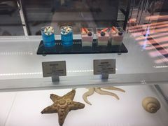 -童趣廊·儿童波波池·海洋球(长隆横琴湾酒店)