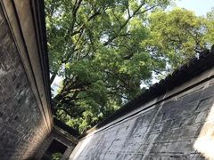 -新华书店(印象城店)