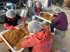 -苏州市吴中区光福窑上花果蜜饯厂