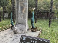 -包公祠