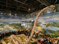 -自贡恐龙博物馆