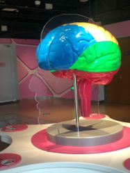 点击看大图 -北京科学中心儿童乐园