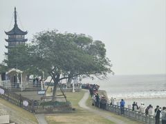 -观潮胜地公园