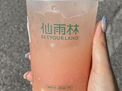 -仙雨林·奶茶鲜果茶(书院巷店)